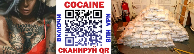 купить закладку  Новопавловск  Cocaine FishScale 