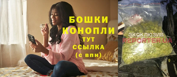 индика Покачи