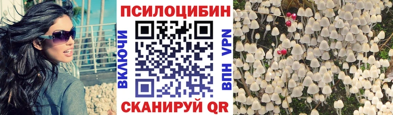 kraken ONION  Новопавловск  Псилоцибиновые грибы MAGIC MUSHROOMS  купить закладку 